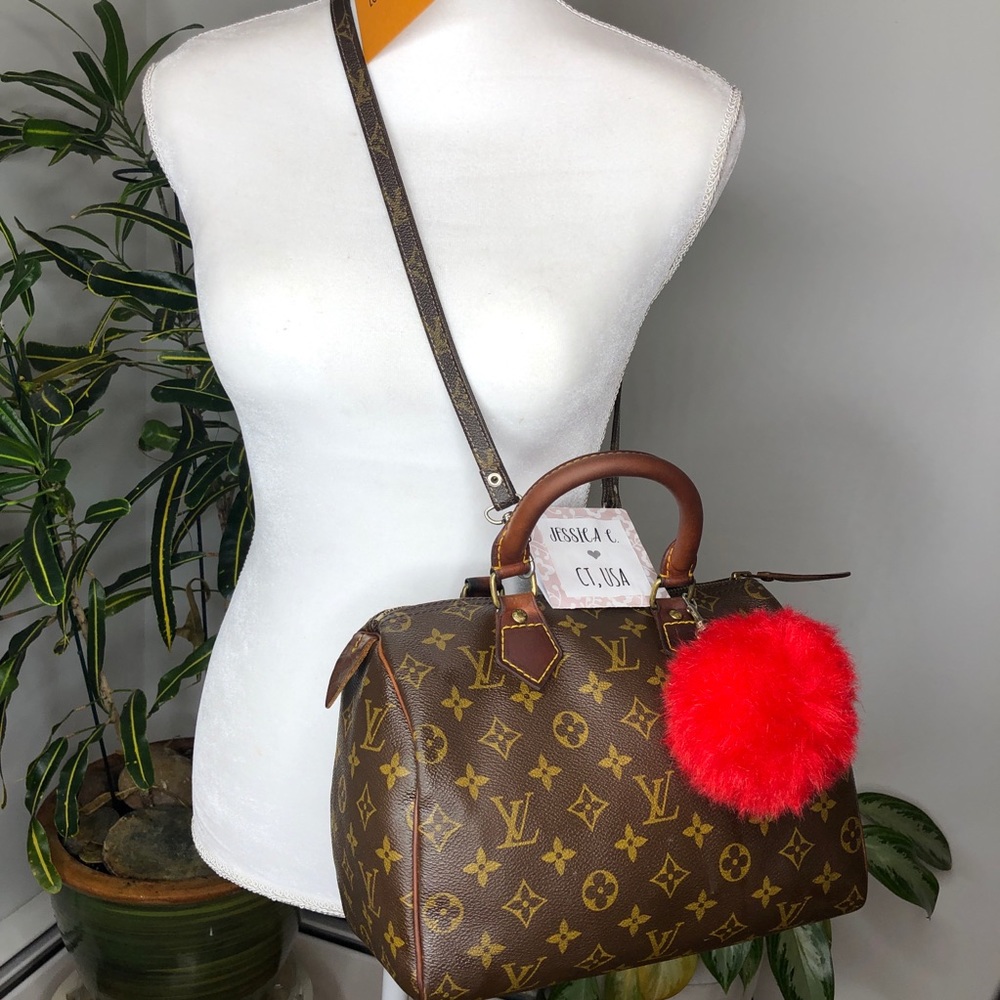 Louis Vuitton Speedy 25 Shoulder Bag